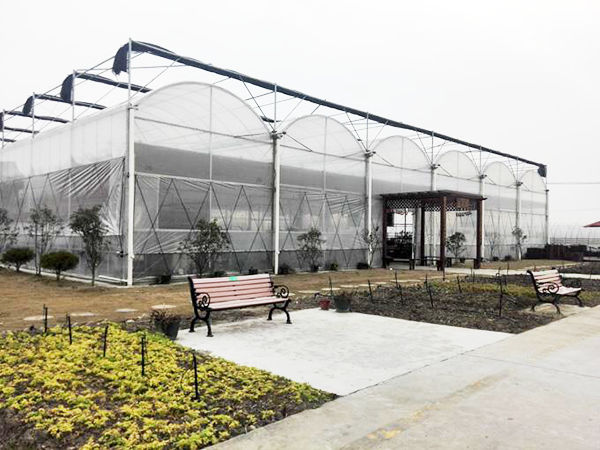 連棟薄膜溫室