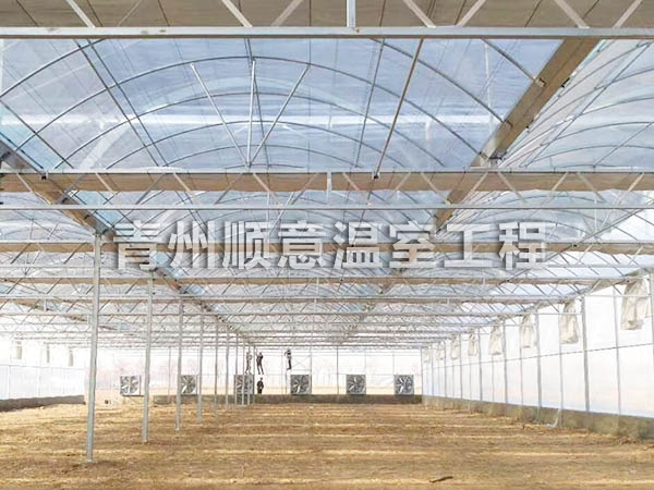 連棟薄膜溫室