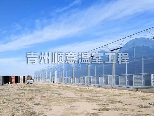 連棟薄膜溫室