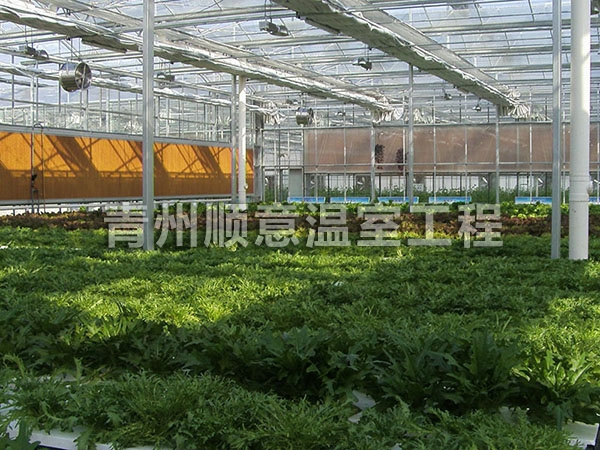 智能溫室大棚