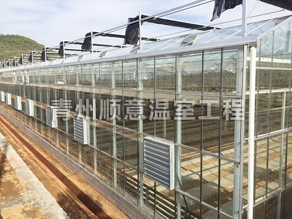玻璃溫室大棚