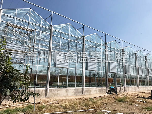 玻璃溫室大棚