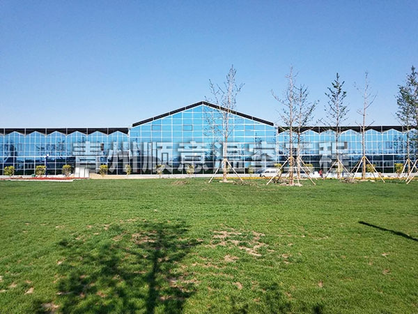 陜西田園綜合體玻璃大棚