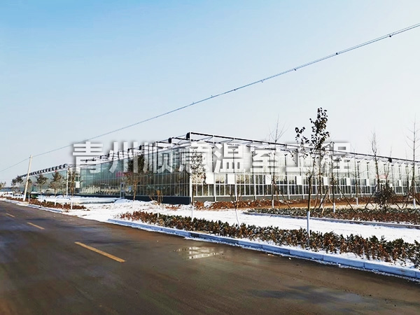 內蒙古玻璃溫室大棚