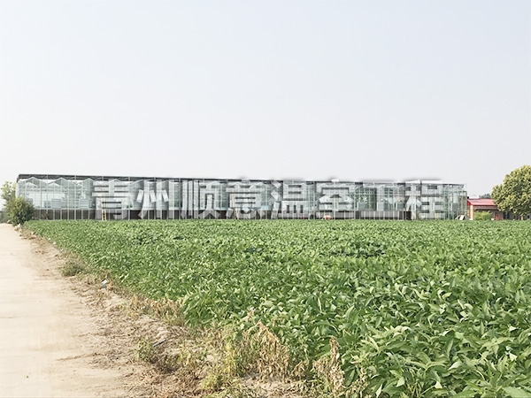 河北保定科研溫室
