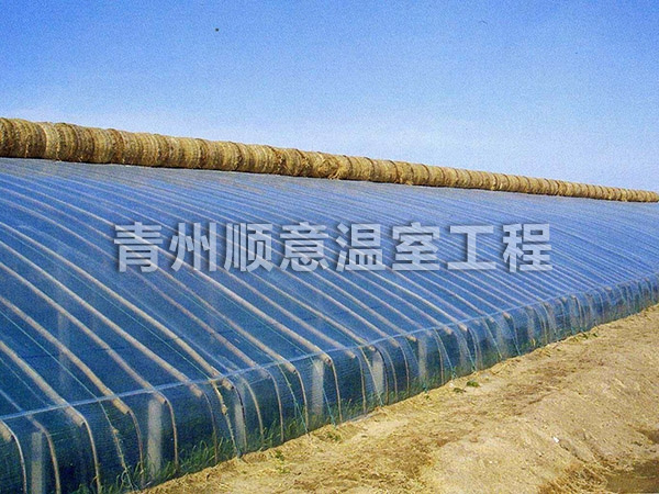 溫室大棚未來(lái)發(fā)展主力