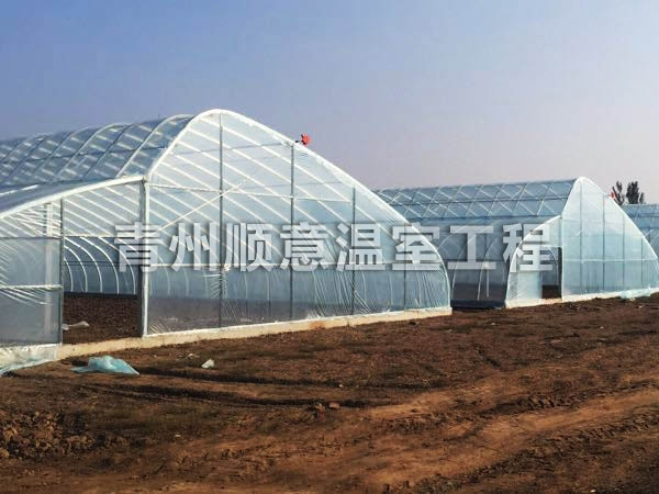 日光溫室的采光設(shè)計(jì)