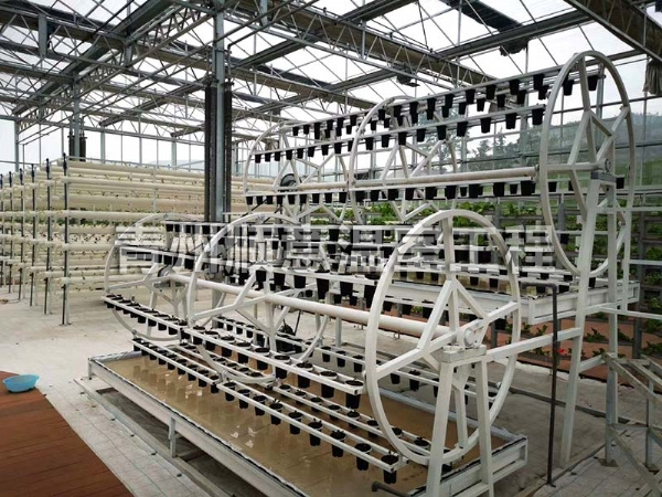 無土栽培（水培、基質栽培)