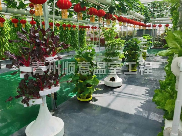 無土栽培（水培、基質栽培)