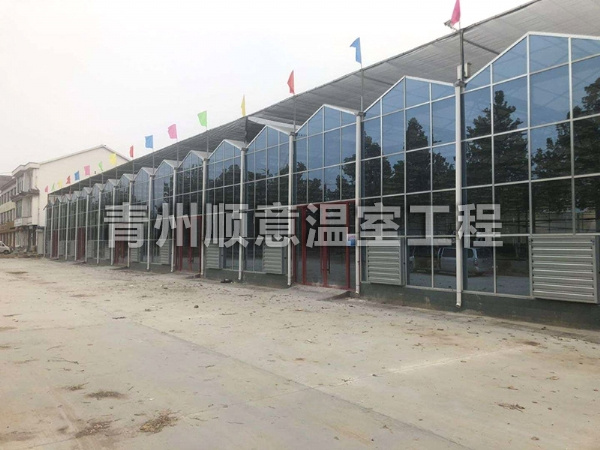 玻璃溫室大棚