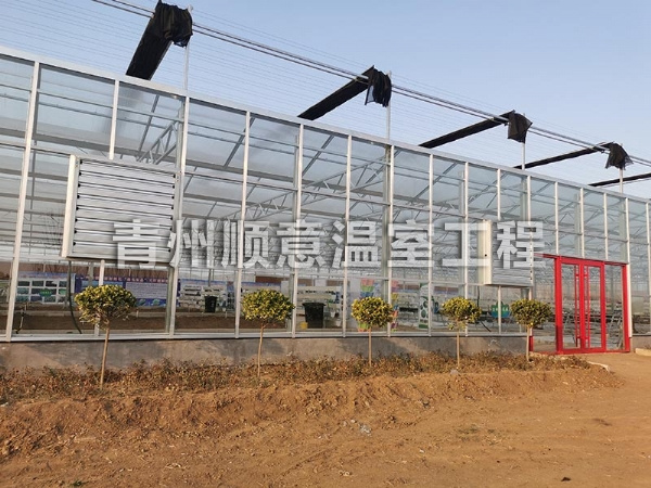 玻璃溫室大棚