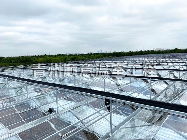玻璃溫室大棚