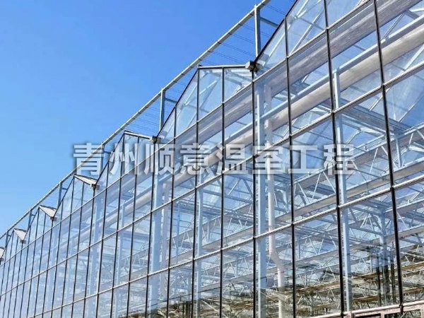 玻璃溫室大棚