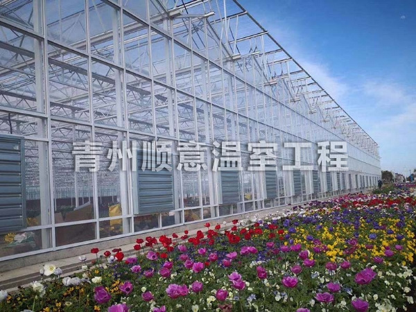 玻璃溫室大棚 (7)