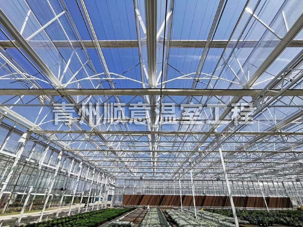 玻璃溫室大棚 (6)