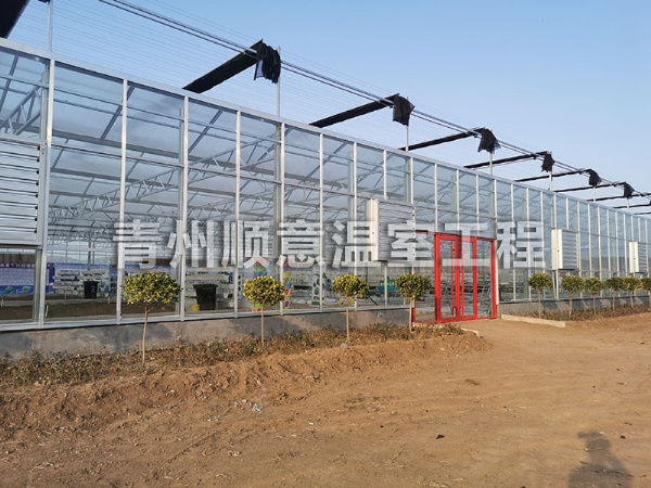 玻璃溫室大棚