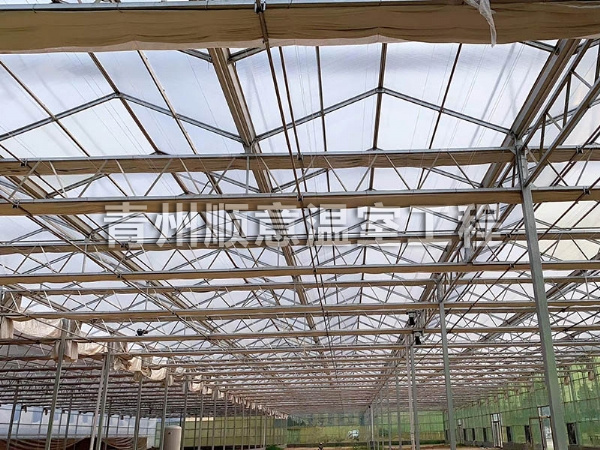 玻璃溫室大棚 (2)