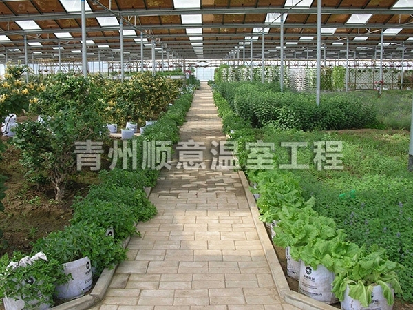 大棚蔬菜建設(shè)后應(yīng)該注意的問(wèn)題