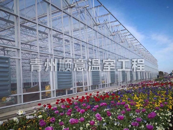  玻璃溫室大棚簡介