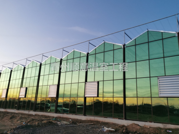 玻璃溫室大棚