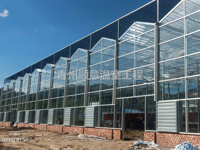 玻璃溫室大棚