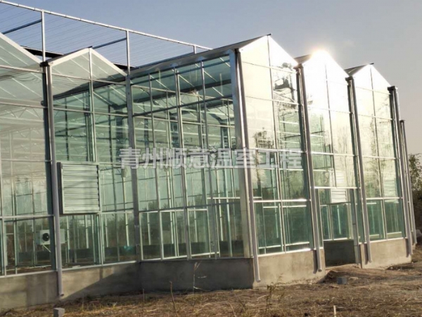 玻璃溫室大棚