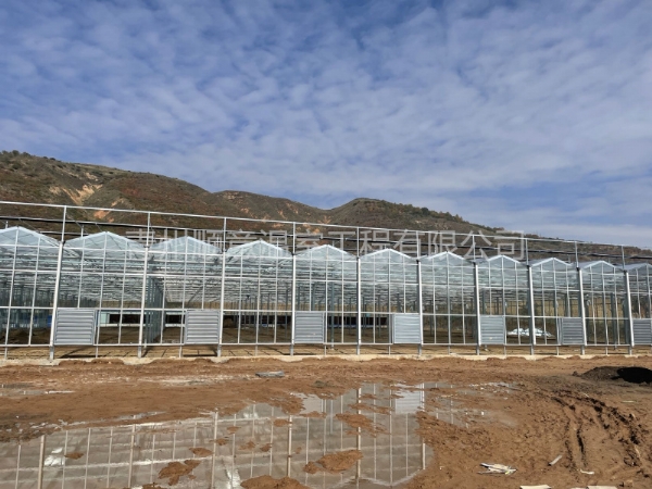 寧夏陽光板玻璃溫室