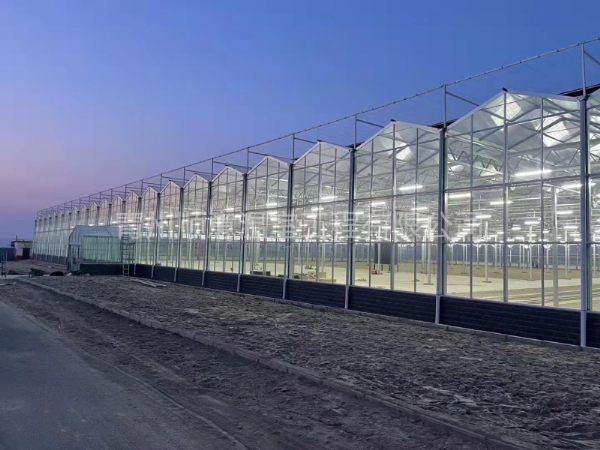 新疆育苗玻璃溫室